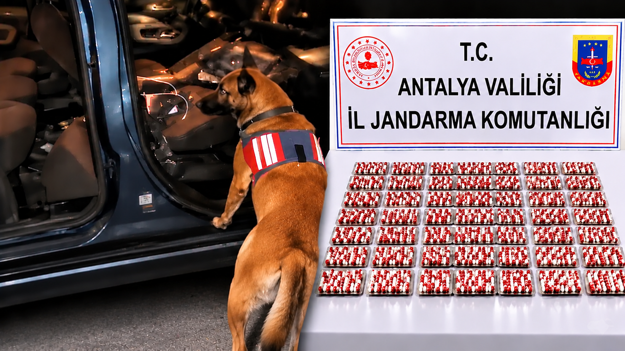 32 ilde dev operasyon: 298 tutuklama! Antalya da listede