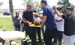 Antalya'da önce 3 otomobile sonra da polislere çarptı