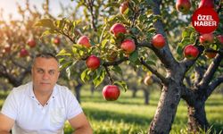 Elmalı ilçesi can çekişiyor: Böyle giderse ‘elmasız’ kalacak!