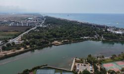 Antalya'da endemik türlerin olduğu alanlar çitle çevriliyor!