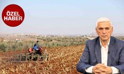 Antalya tarımında kırmızı alarm! Üretici kalmayacak