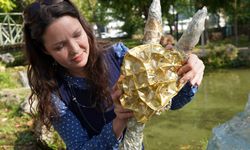 Güzel’den gelen güzellik: Kanseri sanatla yendi, atıklarla heykeller yaptı