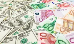 11 Şubat döviz kurları: Dolar ve euro kaç TL oldu?