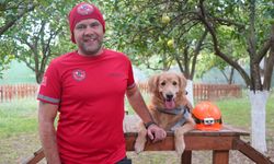 Hayvan sahipleri dikkat! Arama kurtarma timlerinde köpek cinsi fark etmiyor!
