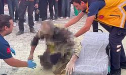 Kaymakamlık önünde korkunç olay! Kendini ateşe verdi