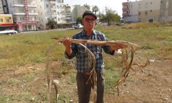 Su kaşifinden kaynak tespiti: Bulduğunda elektrik çarpmışa dönüyor