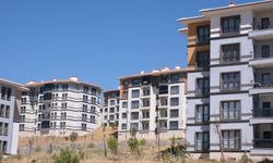 Alanya Belediyesi askıya aldı, valilik TOKİ projesi için “yapılabilir” dedi