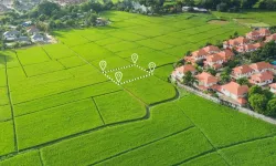 Aksu’da büyük fırsat: Zeytinlik ve tarla satışa çıkıyor