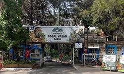 Antalya’da Doğal Yaşam Parkı kapanıyor mu? Sebebi buymuş!