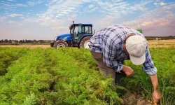 Antalya’daki çiftçiler dikkat! ÇKS başvuruları için son günler
