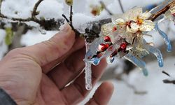Antalya’da soğuk havalar geliyor meteorolojiden zirai don uyarısı