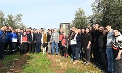 Antalya’da çiftçilere zeytin yetiştiriciliği kursu