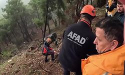 Direksiyon hakimiyetini kaybetti, uçurumdan yuvarlandı