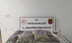 Antalya'da zehir tacirlerine büyük operasyon!