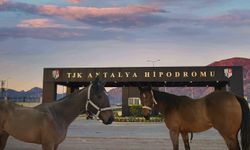 Antalya Hipodromu’nda rekor ilan: 2 yarış atına 1,6 milyon TL!