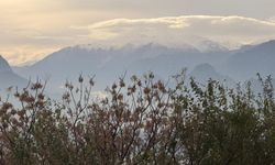 Antalya’ya yılın ilk karı düştü, Saklıkent’te kartpostallık görüntüler oluştu