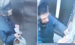 Atatürk portresine tükürüp yırttı, gözaltına alındı!