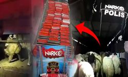 Bu kadarına da pes! Hayvanların karnına 54,6 kilo uyu*turucu gizlediler!