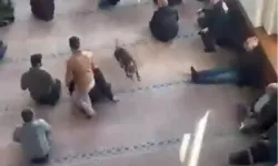 Cemaat neye uğradığını şaşırdı: Camiye pitbull girdi!