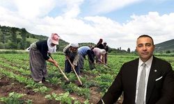 CHP’li Kaya’dan Tarım ve Orman Bakanlığı’na çağrı: “Çiftçilik bitme noktasında”