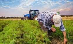 Çiftçiler dikkat: ÇKS başvurularında son tarih 31 Aralık