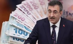 Cumhurbaşkanı yardımcısından müjde: Vatandaşlık maaşı için tarih verdi