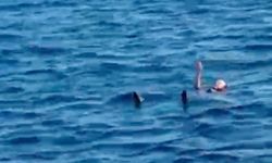 Denizde can pazarı! Saniyelerle yarıştılar