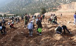 Korkuteli’nde ÇEDES kapsamında 3 bin fidan toprakla buluştu