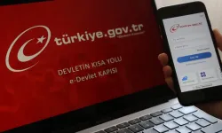 Duyan e-Devlet’e koştu: Araba sahiplerine büyük müjde!