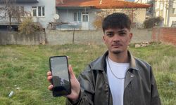 Eskişehir’de kediler vahşice katledildi: Ayrıntılar kan dondurdu