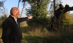 Evliyaları ve mucizeleriyle biliniyordu: 400 yıllık mezarlık define avcılarının gazabına uğradı