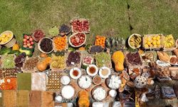 Elmalı’nın o ürününe coğrafi işaret başvurusu