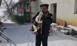 Hatır için çiğ tavuk yemedi, helallik isteyerek kazını kesti