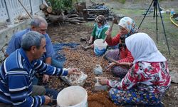 Toros Dağları'nda şifa kaynağı: Her derde derman andız pekmezi!