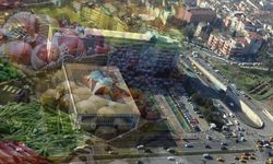 İBB hallerinde rekor Antalya’da! İstanbul’un ihtiyacını tarımın merkezi karşıladı