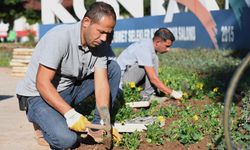 Konyaaltı’nda mevsimlik çiçek mesaisi