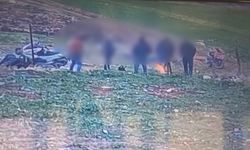 Korku filminden çıkmış gibi! Tek tek yere yığıldılar, süründüler, donup kaldılar