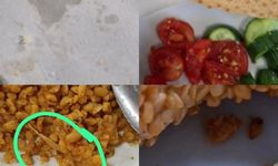 Akdeniz Üniversitesi'ndeki KYK yurtlarında yemek krizi: Yemekten çıkanlar pes dedirtti!