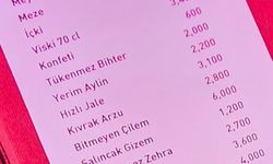 Pavyondaki hesap dudak uçuklattı! 'salıncak Gizem, kıvrak Arzu...'