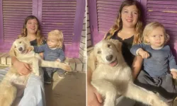 Pitbull saldırısı can aldı: 2 yaşındaki çocuk öldü