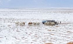 Bir kıyamet alameti daha gerçekleşti! Suudi Arabistan'a kar yağdı!