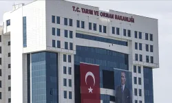 Tarım ve Orman Bakanlığı bünyesinde istihdam fırsatı! Başvurulara sayılı günler kaldı