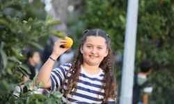 Dalından koparıldı, vatandaşlara ikram edildi!