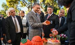 Antalya'nın portakalları dünya pazarında görücüye çıktı