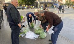 Serik’te üretici isyan etti: Marullarını ücretsiz dağıttı