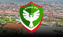 TFF'nin Amedspor'a verdiği para cezası dudak uçuklattı!