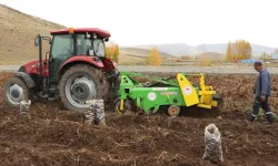 Tarım ürünleri üretici fiyatlarında yıllık artış yüzde 42,53’e ulaştı