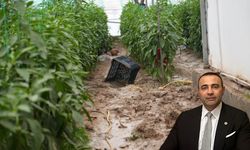 CHP’li Kaya: “Çiftçilerin kredi alabilmesi kolaylaştırılmalı”