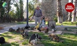 Antalya'da yüzlerce kediye bakıyor, kimi destekliyor, kimi şiddet uyguluyor!