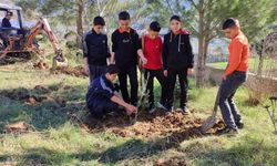Antalya'da öğrenciler tarafından 50 adet zeytin fidanı dikildi